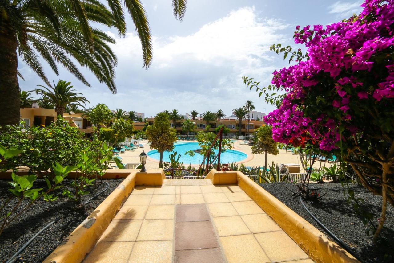 Apartment Apple Dunes With Pool Corralejo By Holidays Home Kültér fotó